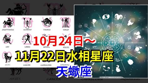 11/22 星座|『星座物語』11月22日的天蠍座或射手座：崇尚自由 